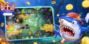 Hướng dẫn để lựa chọn các mức cược khi tham gia chơi