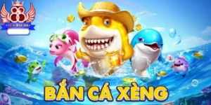 Thông tin cơ bản trò ban ca xeng